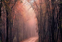 金徽股份2025年半年报业绩稳健,资源战略持续推进