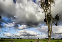 浙江荣泰(603119):浙江荣泰电工器材股份有限关于使用部分闲置募集资金进行现金管理到期赎回并继续进行现金管理