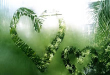 美团外卖首次披露“1对1急送”数据:骑手单均收入翻一番