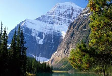 网信部门依法查处快手、微博平台破坏网络生态案件