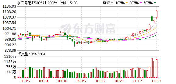 基本面大幅改善!水产养殖涨停潮 融资客抢筹这些股